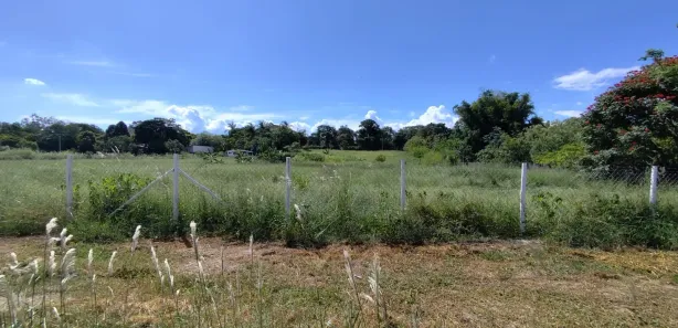 Fazenda / Sítio / Chácara com 3 Quartos à venda, 28000m² no Chácara Marambaia, Caçapava