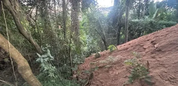Terreno / Lote / Condomínio com 1 Quarto à venda, 731m² no Alphaville - Lagoa dos Ingleses, Nova Lima