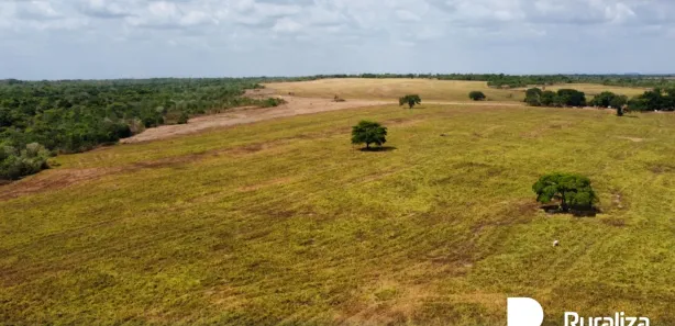 Fazenda / Sítio / Chácara à venda, 348m² no Setor Central, Divinópolis do Tocantins
