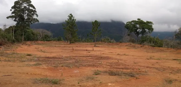 Fazenda / Sítio / Chácara com 3 Quartos à venda, 450m² no Parque Dom João VI, Nova Friburgo