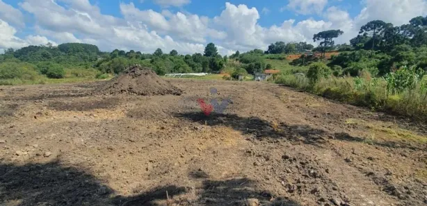 Fazenda / Sítio / Chácara com 1 Quarto à venda, 7900m² no Santa Terezinha, Fazenda Rio Grande