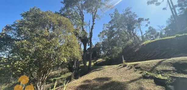 Fazenda / Sítio / Chácara com 2 Quartos à venda, 60m² no , Lapa