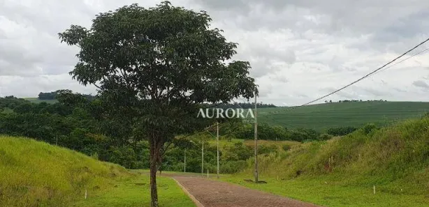 Terreno / Lote / Condomínio à venda, 1500m² no , Sertanópolis