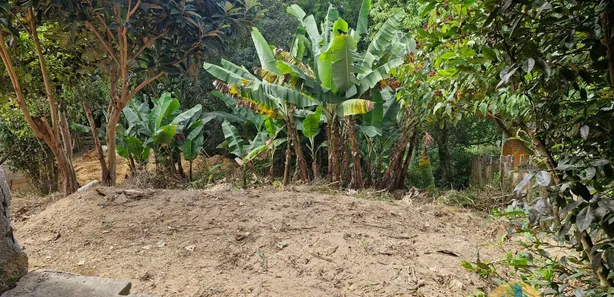 Fazenda / Sítio / Chácara com 2 Quartos à venda, 800m² no Centro, Pirapora do Bom Jesus