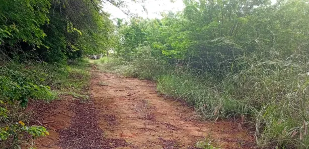 Terreno / Lote / Condomínio à venda, 20000m² no Park Way, Brasília
