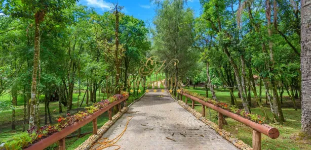 Fazenda / Sítio / Chácara com 4 Quartos à venda, 10m² no Colônia Balbino Cunha, Campo Largo