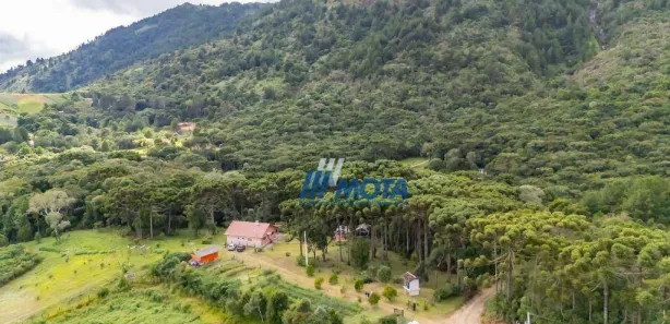 Fazenda / Sítio / Chácara com 3 Quartos à venda, 200m² no Serra do Araçatuba, Tijucas do Sul
