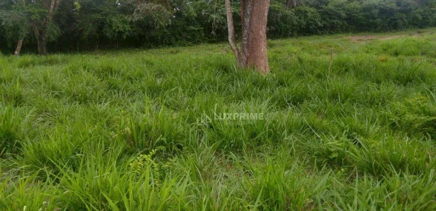 Fazenda / Sítio / Chácara à venda, 1161600m² no , Rio Sono