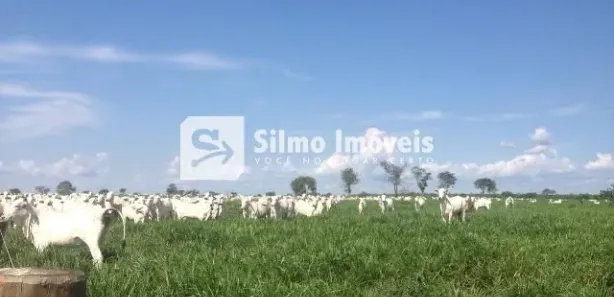 Fazenda / Sítio / Chácara com 1 Quarto à venda, 10m² no , Lagoa da Confusão