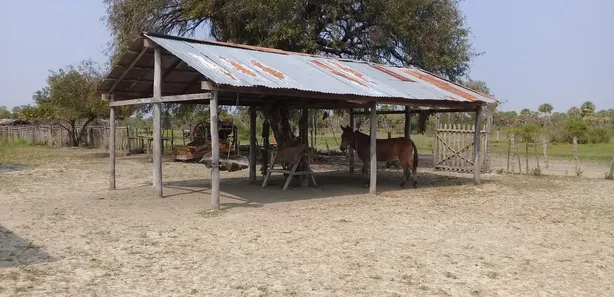 Fazenda / Sítio / Chácara com 3 Quartos à venda, 31000000m² no , Porto Murtinho