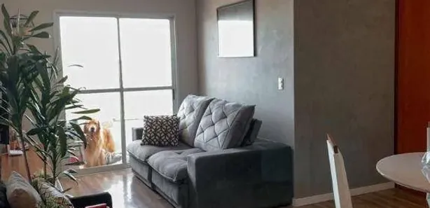 Apartamento com 3 Quartos para alugar, 78m² no Centro, Nova Odessa