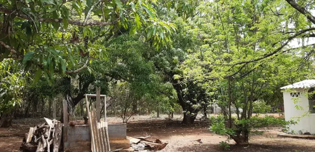 Fazenda / Sítio / Chácara com 2 Quartos à venda, 10000m² no Centro, Padre Bernardo