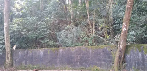 Terreno / Lote / Condomínio à venda, 2353m² no Tucuruvi, São Paulo