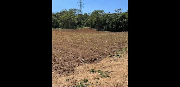 à venda, 81335m² no Jardim São Marcos, Itapevi