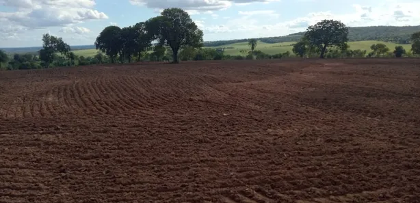 Fazenda / Sítio / Chácara com 3 Quartos à venda, 10000m² no , Bela Vista