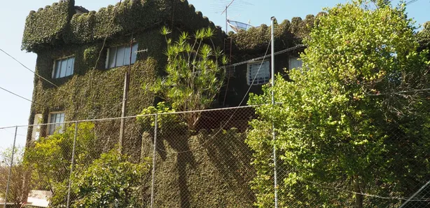 Fazenda / Sítio / Chácara com 8 Quartos à venda, 1200m² no Ibiúna, Ibiúna