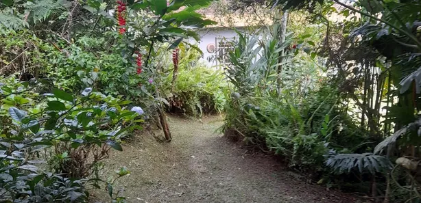 Fazenda / Sítio / Chácara com 2 Quartos à venda, 109m² no Quarta Divisão, Ribeirão Pires