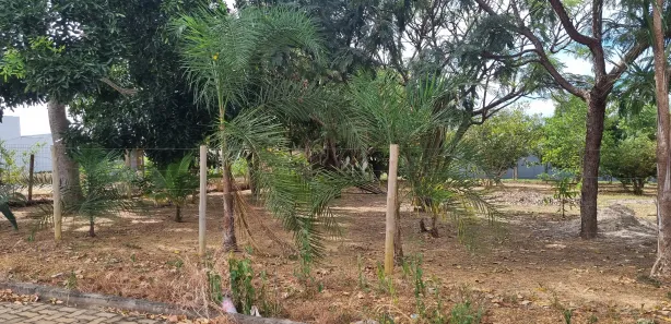 Terreno / Lote / Condomínio à venda, 1024m² no Abadiânia, Abadiânia