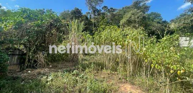 Terreno / Lote Comercial à venda, 360m² no , Florestal