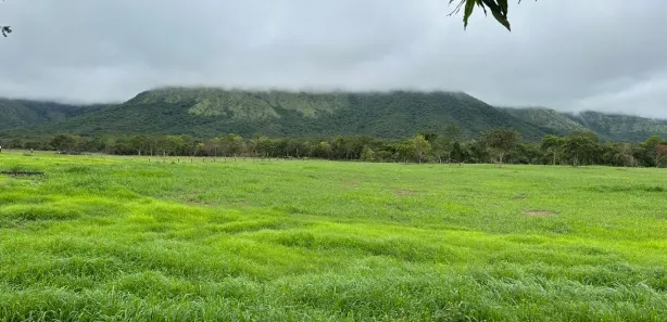 Fazenda / Sítio / Chácara com 2 Quartos à venda, 726000m² no , Vila Boa