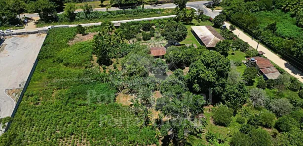 Fazenda / Sítio / Chácara com 3 Quartos à venda, 10000m² no Sampaio Correia (Sampaio Correia), Saquarema