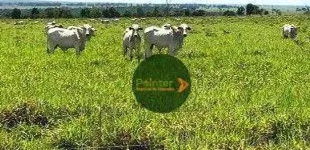 Fazenda / Sítio / Chácara à venda, 94750000m² no Parque da Barragem Setor 08, Águas Lindas de Goiás