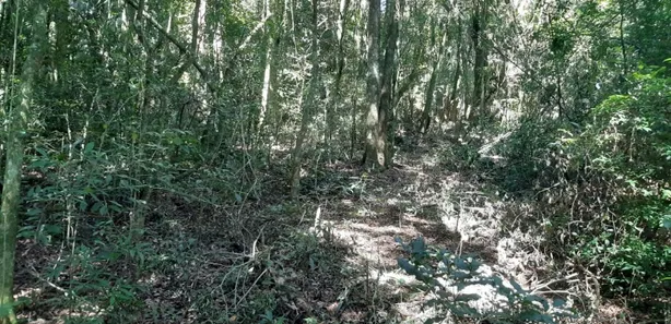 Fazenda / Sítio / Chácara com 1 Quarto à venda, 7000m² no Contenda, Contenda