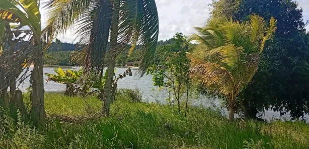 Fazenda / Sítio / Chácara com 3 Quartos à venda, 2900m² no , Mata de São João