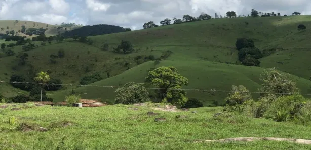Fazenda / Sítio / Chácara à venda, 1875000m² no , São José da Laje