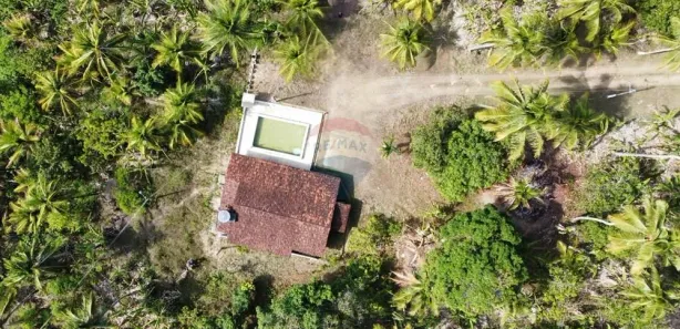 Fazenda / Sítio / Chácara com 2 Quartos à venda, 166999m² no Mituaçu, Conde