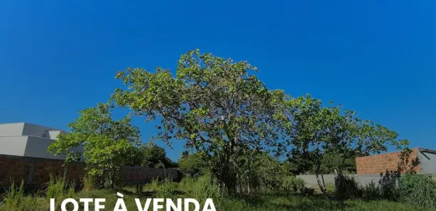 Terreno / Lote / Condomínio à venda, 2000m² no Jauá (Abrantes), Camaçari