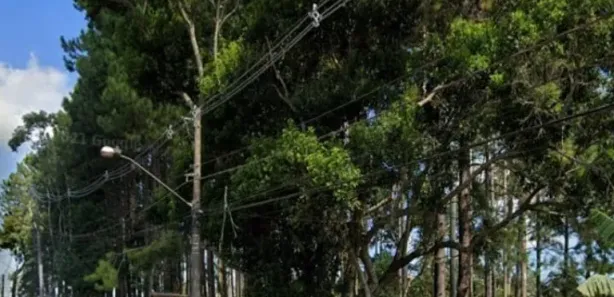 Terreno / Lote / Condomínio à venda, 543301m² no , Embu-Guaçu