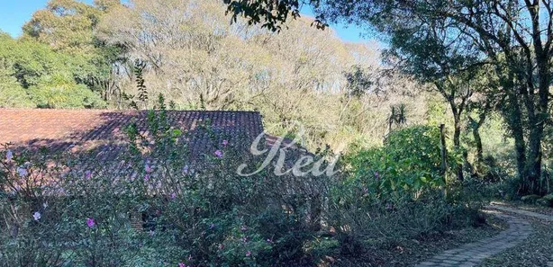 Fazenda / Sítio / Chácara com 3 Quartos à venda, 51000m² no Piedade, Piedade
