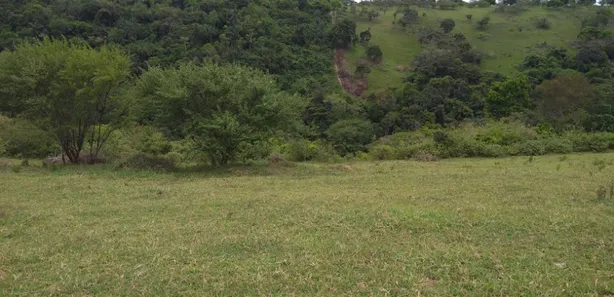 Fazenda / Sítio / Chácara com 2 Quartos à venda, 78408m² no Centro, Muritiba