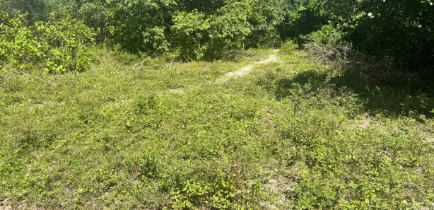 Terreno / Lote / Condomínio à venda, 840m² no , Conde