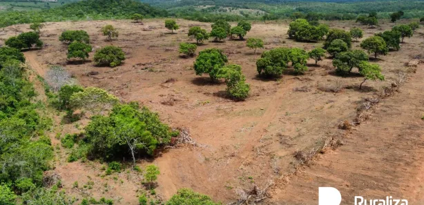 Fazenda / Sítio / Chácara à venda, 595m² no , Cristalândia