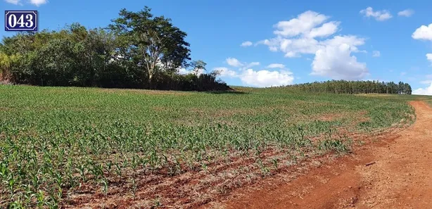 Terreno / Lote / Condomínio à venda, 208000m² no Rodovia, Sertanópolis