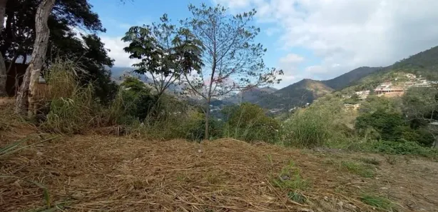 Terreno / Lote / Condomínio à venda, 562m² no Corrêas, Petrópolis