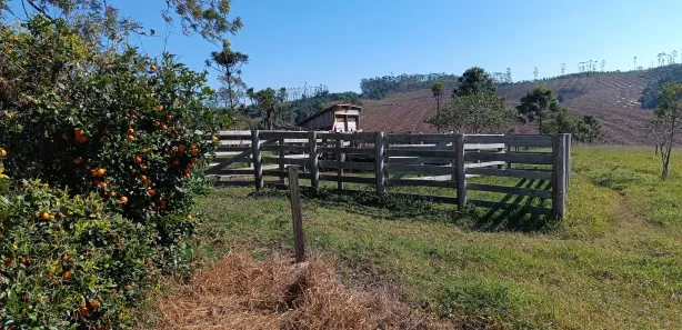 Fazenda / Sítio / Chácara com 2 Quartos à venda, 210m² no , Pilar do Sul