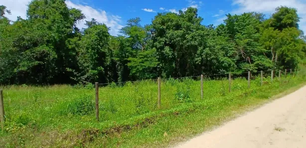 Fazenda / Sítio / Chácara com 2 Quartos à venda, 20000m² no Bazílio, Rio Bonito