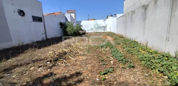 Terreno / Lote / Condomínio para alugar, 249m² no Jardim Ipanema, São Carlos