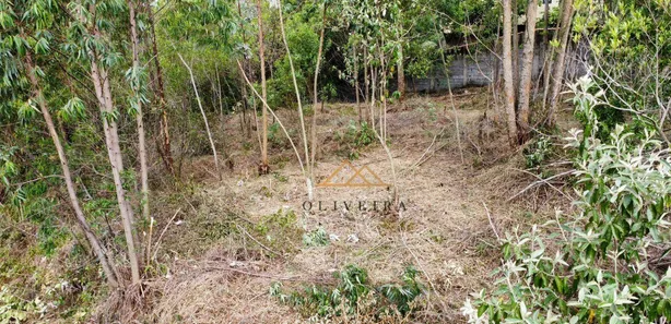 Terreno / Lote / Condomínio à venda, 3900m² no Condomínio Porta do Sol, Mairinque