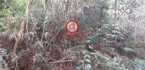 Terreno / Lote / Condomínio à venda, 1510m² no Recreio Eldorado do Vale, Santa Branca