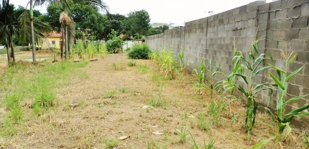 Terreno / Lote / Condomínio para alugar, 4250m² no Jardim Celina, Limeira
