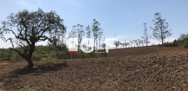 Fazenda / Sítio / Chácara com 3 Quartos à venda, 92000m² no , Pilar do Sul