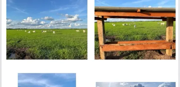 Fazenda / Sítio / Chácara com 2 Quartos à venda, 8391m² no , Formoso do Araguaia