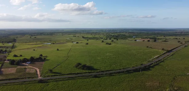 Fazenda / Sítio / Chácara à venda, 540000m² no , Pilar