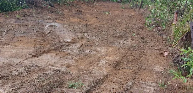 Fazenda / Sítio / Chácara à venda, 142m² no , Lagoa da Confusão