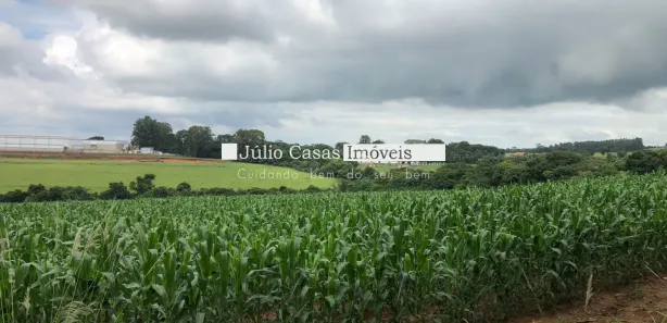 Fazenda / Sítio / Chácara com 3 Quartos à venda, 200m² no Jundiaquara, Araçoiaba da Serra