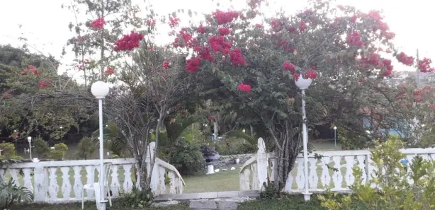 Fazenda / Sítio / Chácara com 25 Quartos à venda, 9400m² no Jardim do Vale, Itaquaquecetuba